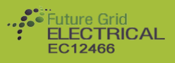 Future Grid Electrical